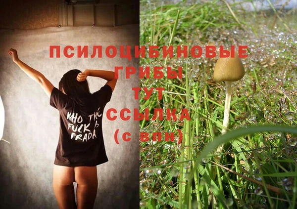молекула духа Алзамай