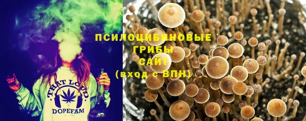 молекула духа Алзамай