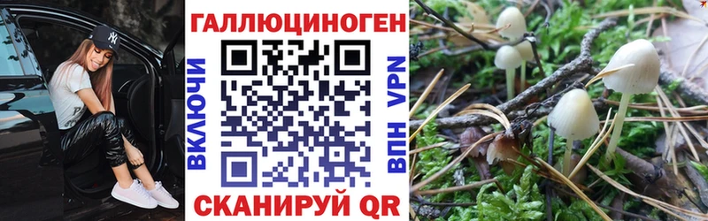 наркошоп  Феодосия  Галлюциногенные грибы прущие грибы 